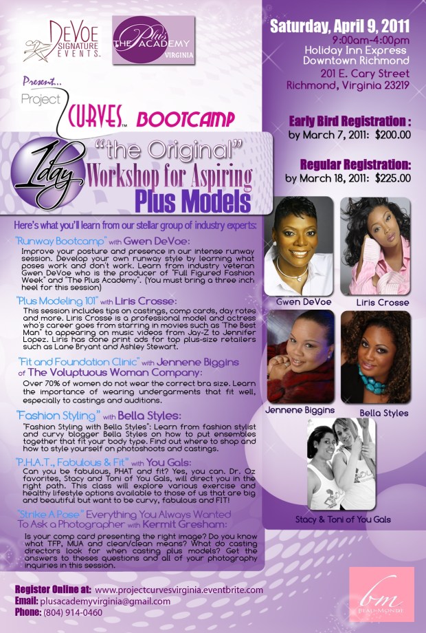 Project Curves Flyer