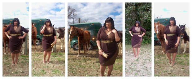 Horsy Collage