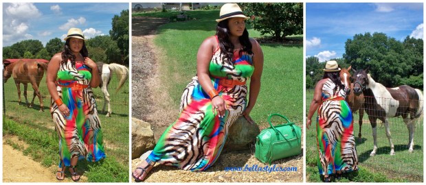 Tropical Paradise 2 Collage