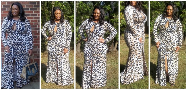 Peekaboo Animal Dress Collage