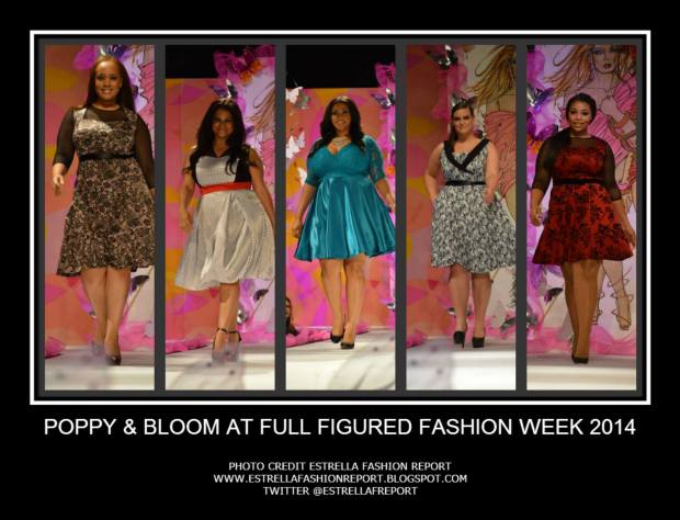 10459094_10202351198437443_83429778275254616_o