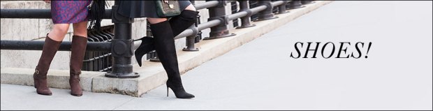 cat-header-shoes